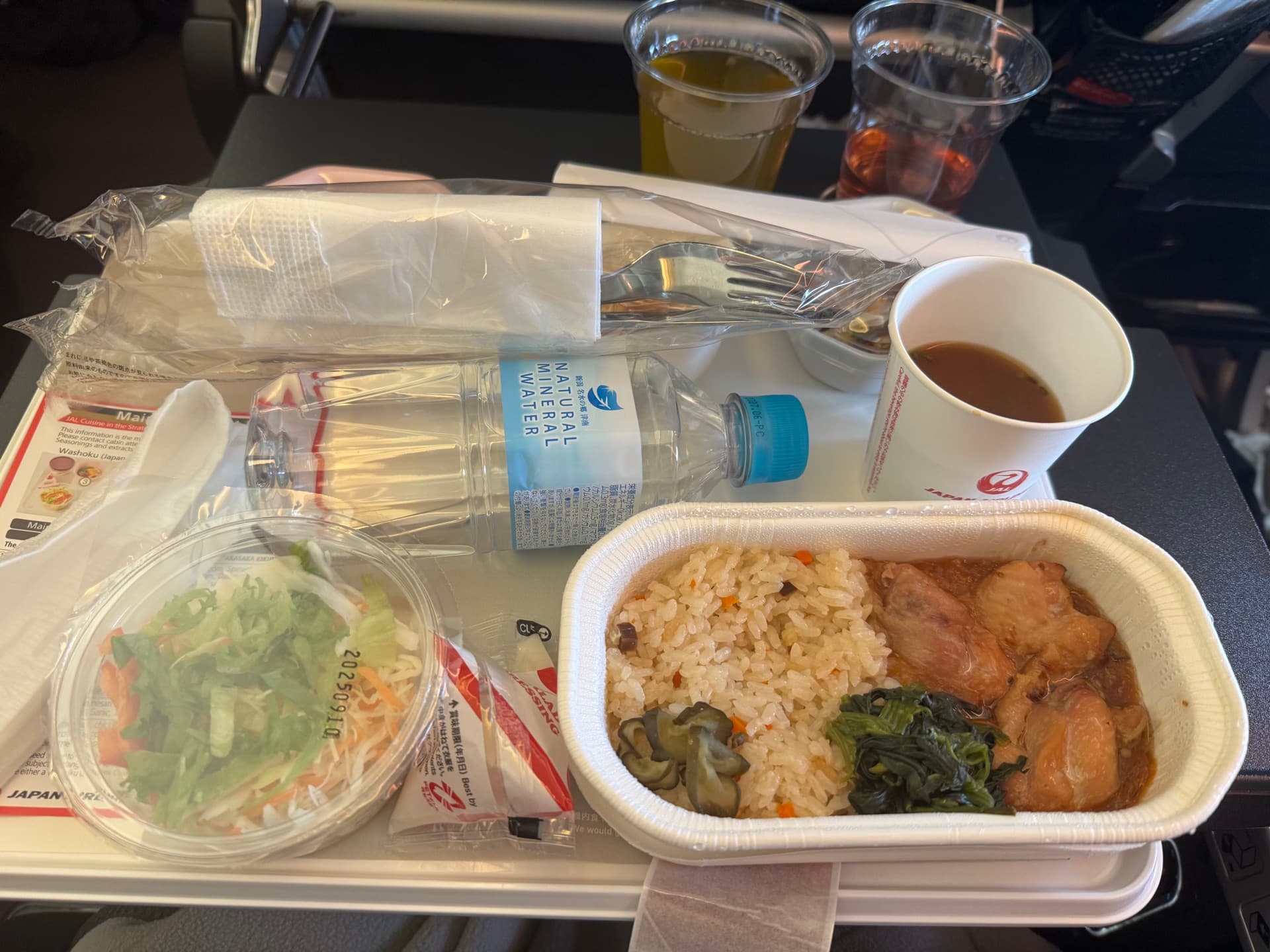 機内食（チキンとライス）